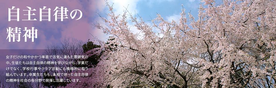 世博官方网站下载官网